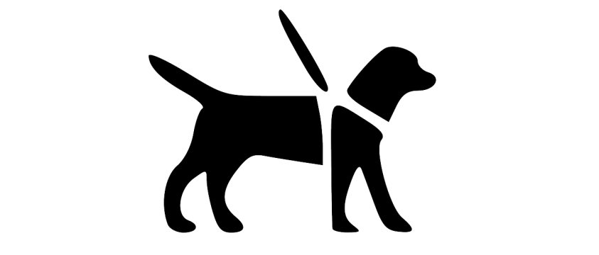 illustrazione che rappresenta un cane guida
