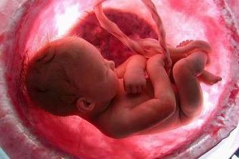 ecografia di un feto