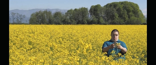un ragazzo con sindrome di Down in mezzo ad un campo di fiori gialli