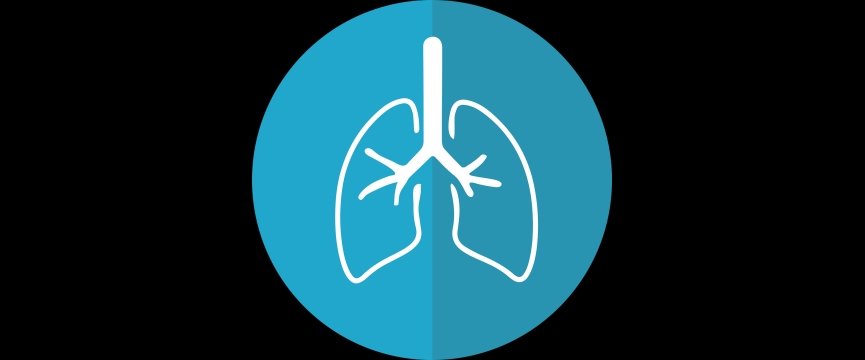 immagine stilizzata di due polmoni