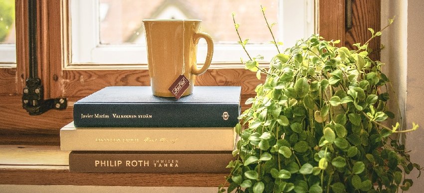 finestra con libri, una tazza di the e una pianta rampicante