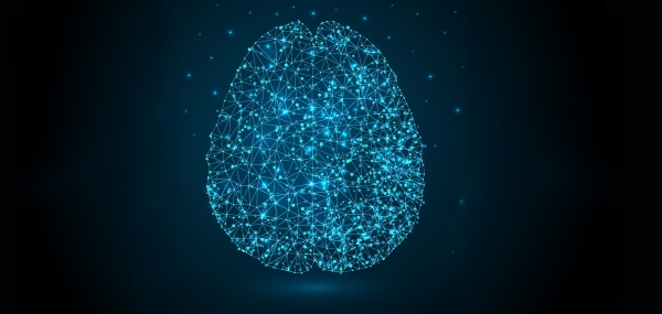 grafica di un cervello su sfondo blu notte nel quale sono illuminate in azzurro le terminazioni nervose