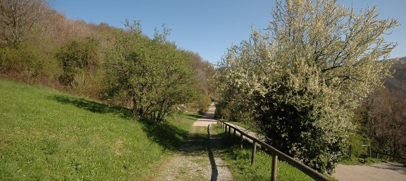 sentiero nella natura
