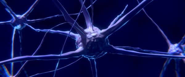 immagine di un neurone grande davanti e altri più piccoli dietro