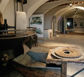 Museo Antica Grancia: particolare