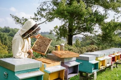 Paideia fattoriasociale api
