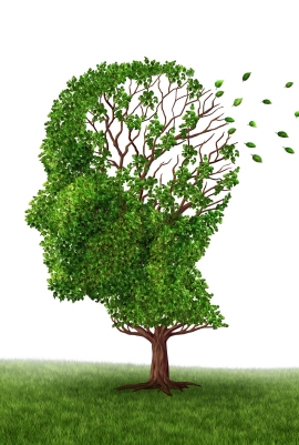 alzheimer: illustrazione di arbusto a forma di testa umana che perde le foglie
