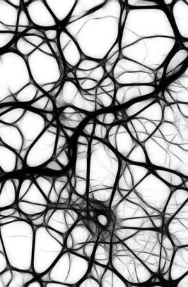 rete neuronale
