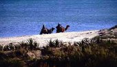 Disabili-com: le dune della Tunisia