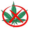 Disabili-com: logo Marijuana