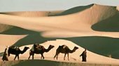 Disabili-com: cammelli tra le dune del deserto