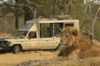 impronte safari in africa