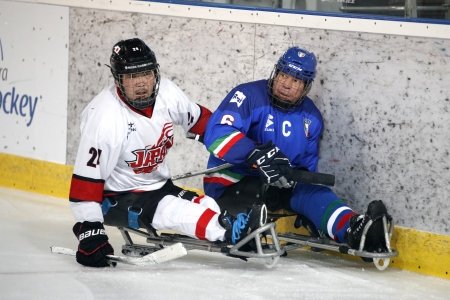 due giocatori di para ice hockey  sul campo. foto di Joachim Sielski/DBS